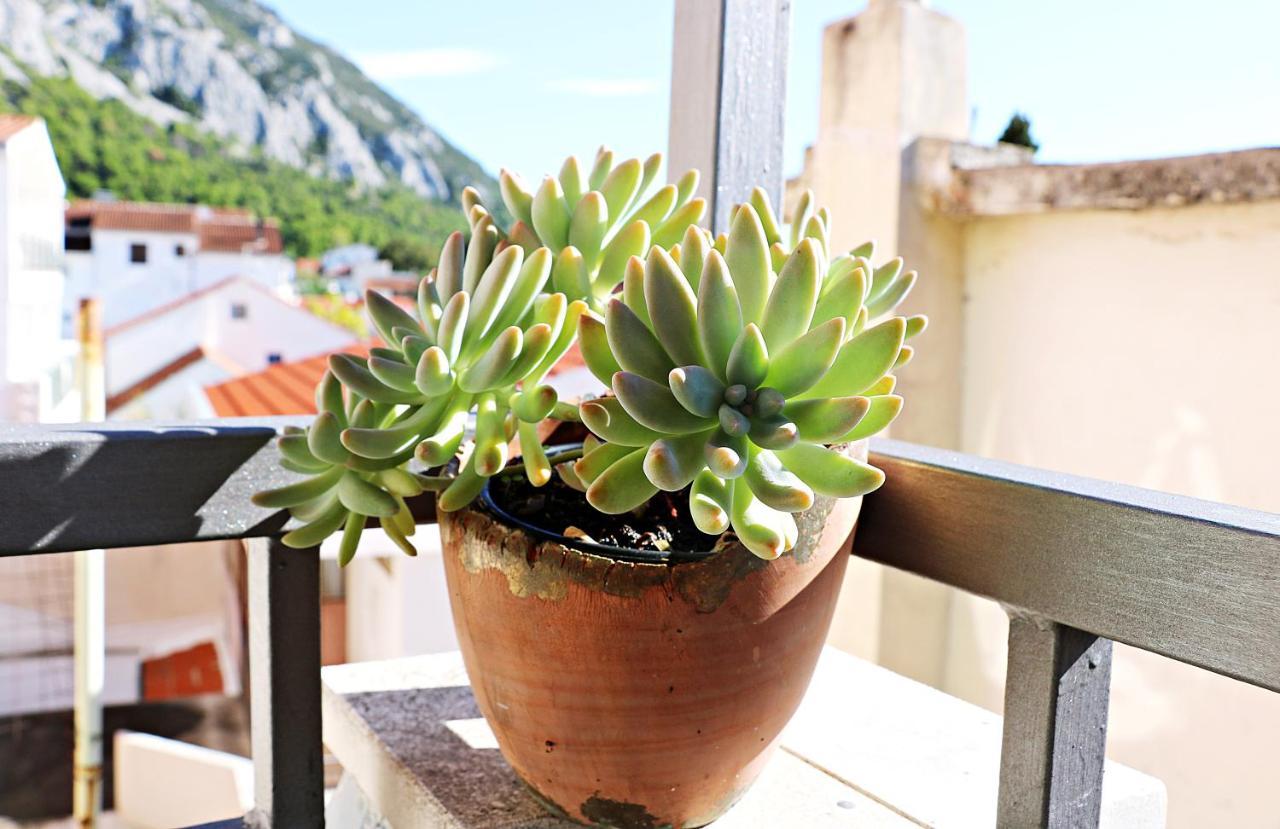 Apartmán Roso Gradac  Exteriér fotografie