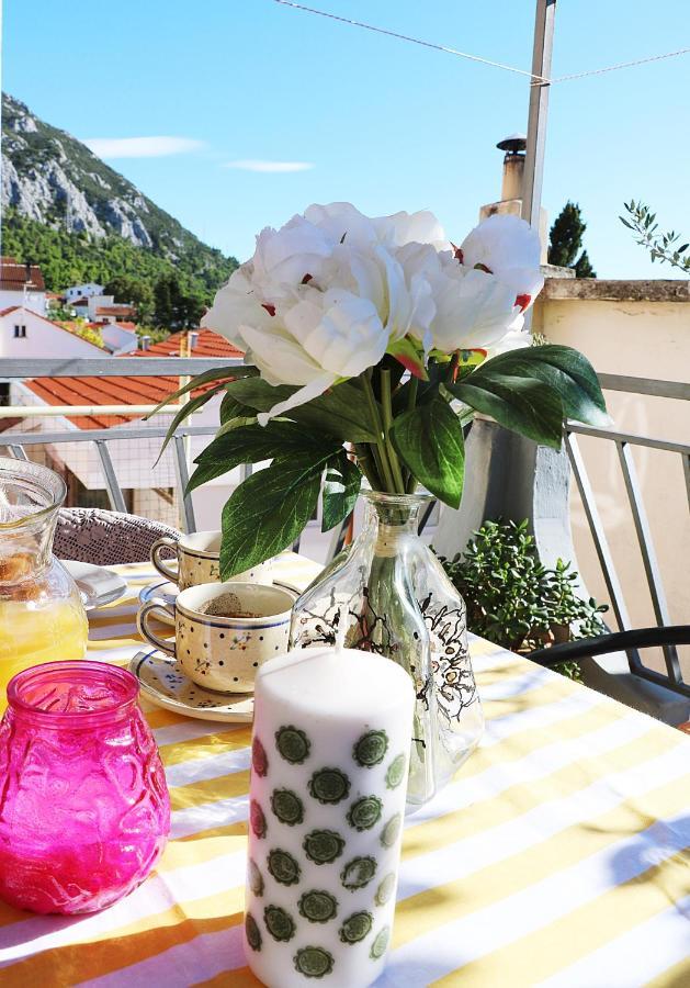 Apartmán Roso Gradac  Exteriér fotografie