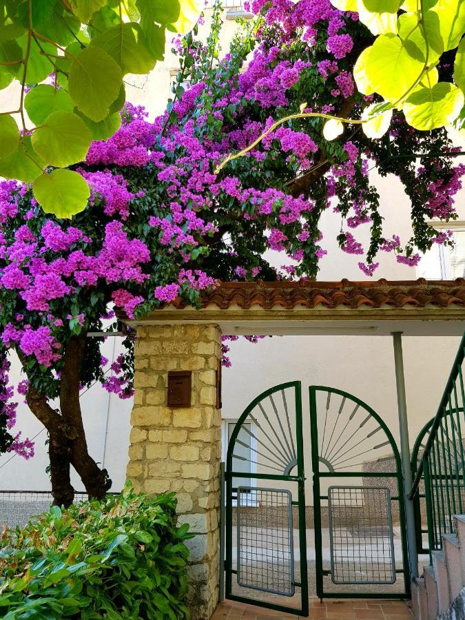 Apartmán Roso Gradac  Exteriér fotografie